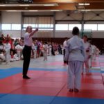 Hellmannpokal Vetschau U13/U15/U18/M/F
