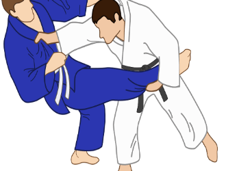 Verbandsprüfung Jiu Jitsu